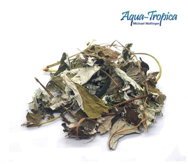 Aqua-Tropica Natural Himbeerblätter - 5g