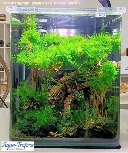 BLAU aquaristic - Nano-Aquarium Cubic 30 Liter - Basis Glas Aquarium
