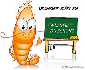 Kranke-Garnelen_Dr-Shrimp-klaert-auf