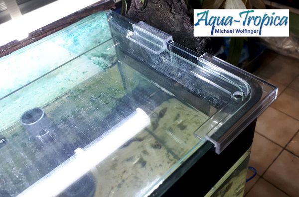 BLAU aquaristic Abdeckscheibe Ersatz Aquarium - Square & Cubic