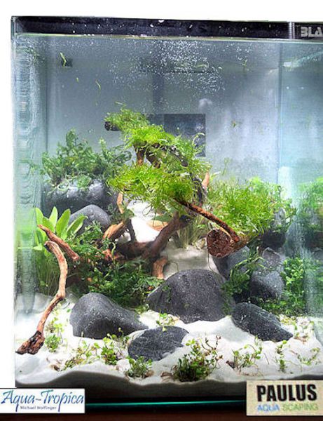 BLAU aquaristic - Nano-Aquarium Cubic 20 Liter - Basis Glas Aquarium