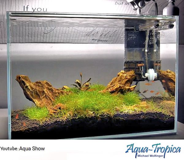 BLAU aquaristic Aquascaping Square 28 Liter - Weißglasaquarium, Garnelen, Wirbellose, Nano-Becken