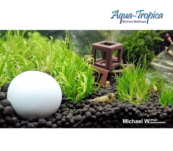 Aqua-Tropica White-Balls - 3 Stück Mineralbälle für Garnelen, Krebse