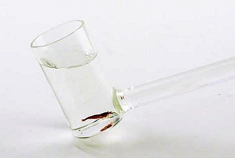 Aqua Garnelen Selektionspfeife 40 cm - Glas Shrimp Catcher