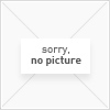 L 127 Lujans Zwergschilderwels, WF | Peckoltia lujani | 5-8 cm